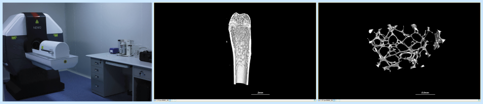 MicroCT.png