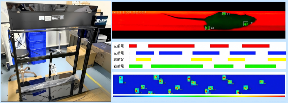步态分析.png