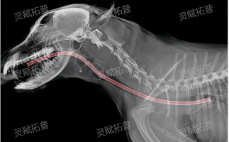 6a4dc63689e7d.png image_384687467257452.png