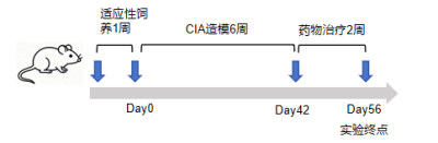 6a684d978a669.png 4f59500848d3617de6d41feb8ce13b9b.png